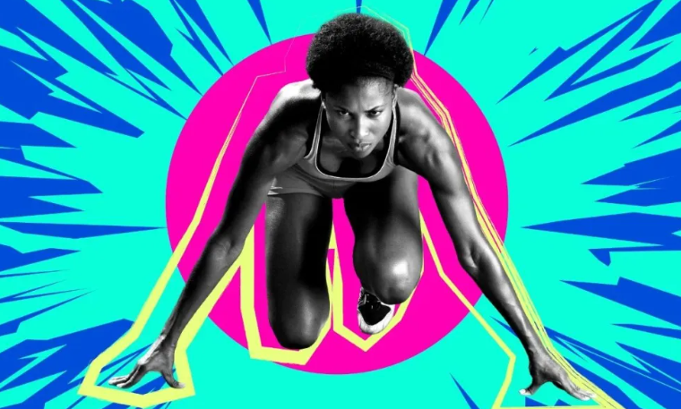 2026 ������֪ʶ��Ȩ