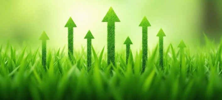 ȫ���˾��̬ | 