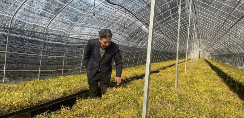 ����Ļ�ɽ������ɽ��