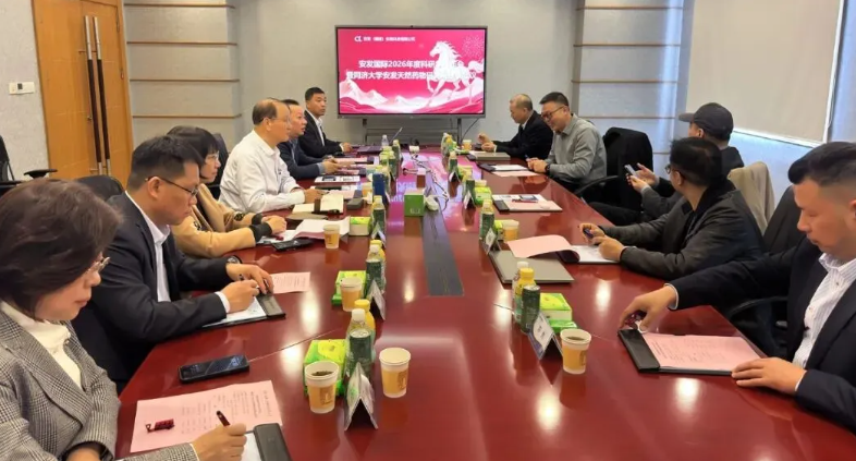 ��������2026��ȿ���