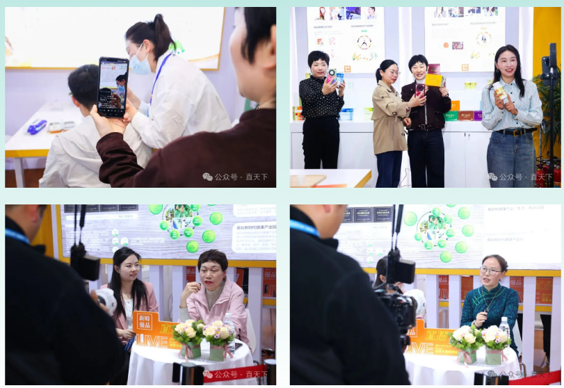 ��˾����2026�������