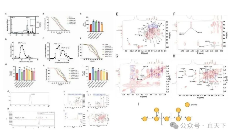 ���нݱ�|�������Զ�
