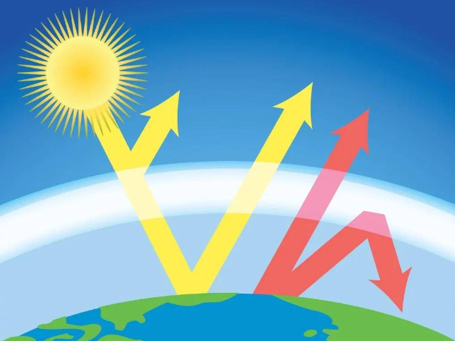 ������ʳƷԭ�� ����