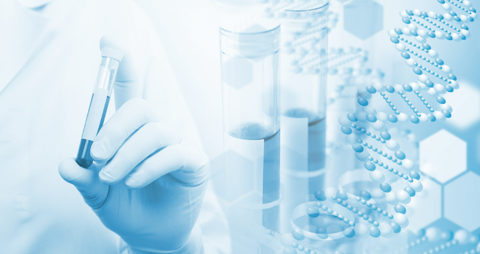 2026�й�ʳƷҩƷҽ��